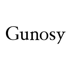 Gunosy, Inc.