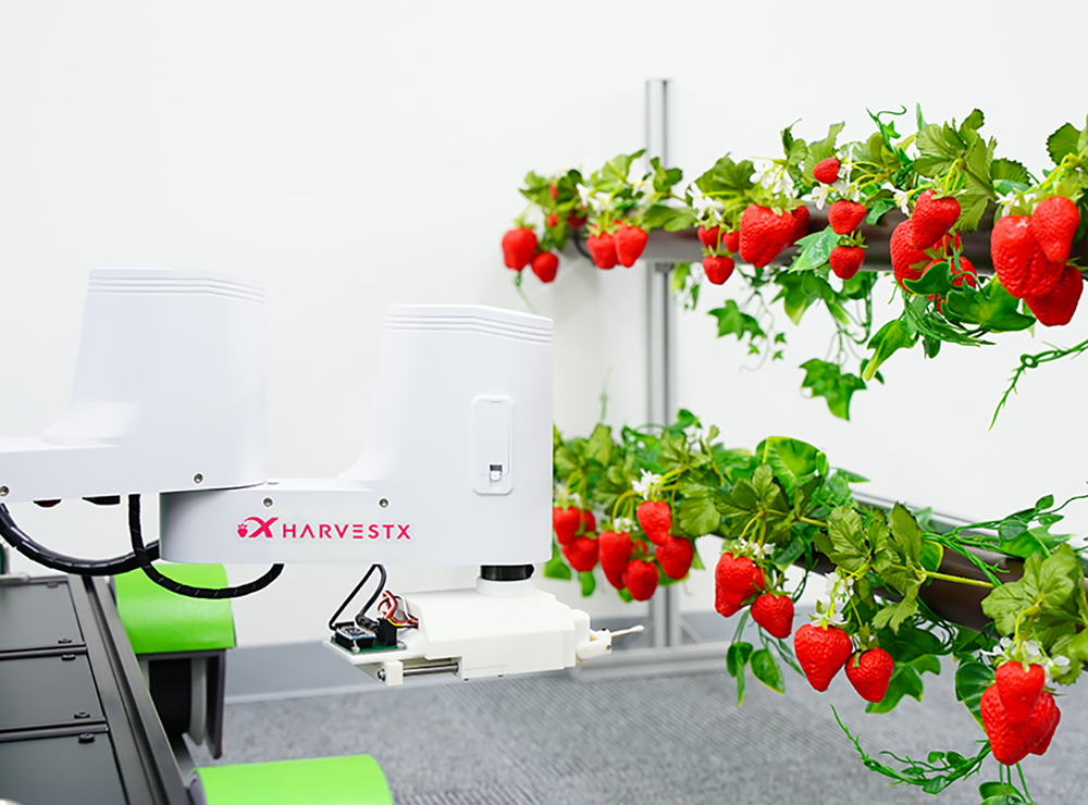 植物工場のための自動授粉・収穫ロボットシステム