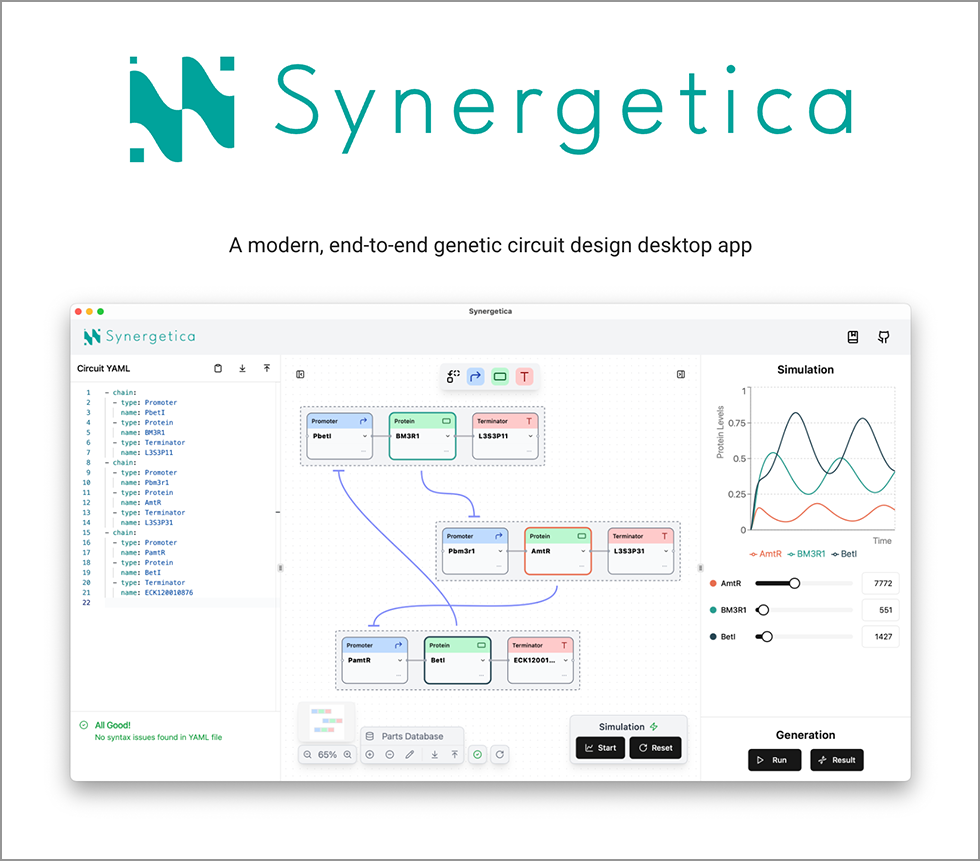 Synergetica: A modern, end-to-end genetic circuit design desktop app