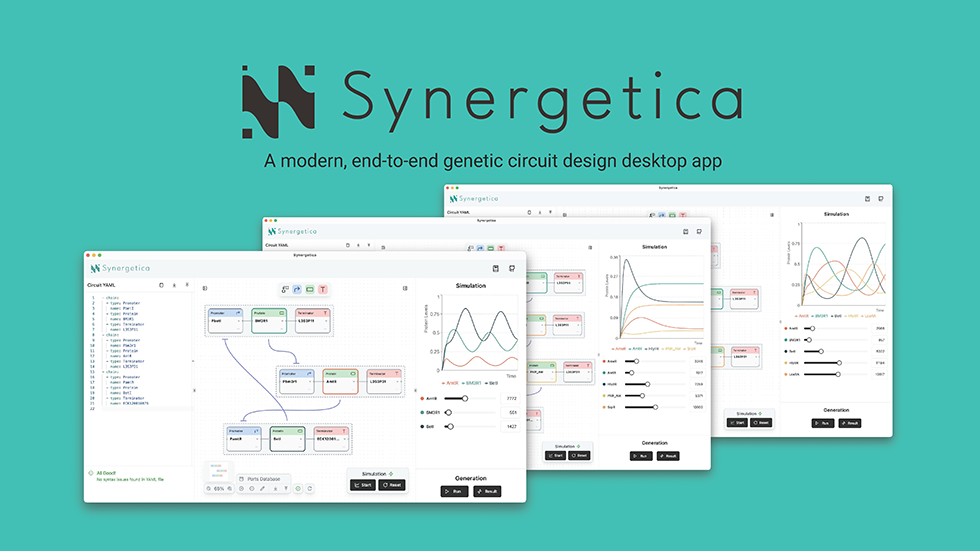 Synergetica: A modern, end-to-end genetic circuit design desktop app