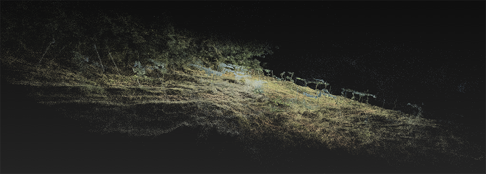 Gaussian Splattingによって再構成したほ場の3Dモデル