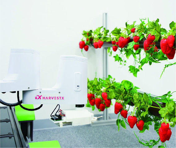 植物工場のための自動授粉・収穫ロボットシステムの画像