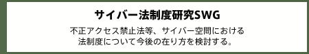 サイバー法制度研究SWG 不正アクセス禁止法等、サイバー空間における法制度について今後の在り方を検討する。