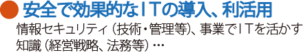 安全で効果的なITの導入・利活用　情報セキュリティ（技術・管理等）、事業でITを活かす知識（経営戦略や法務の知識）など