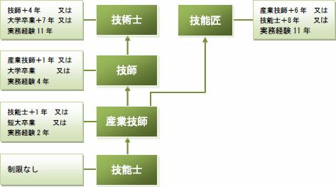 キャリアパス図